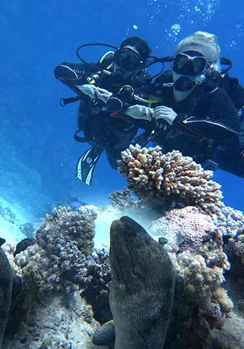 Egypt International Diving